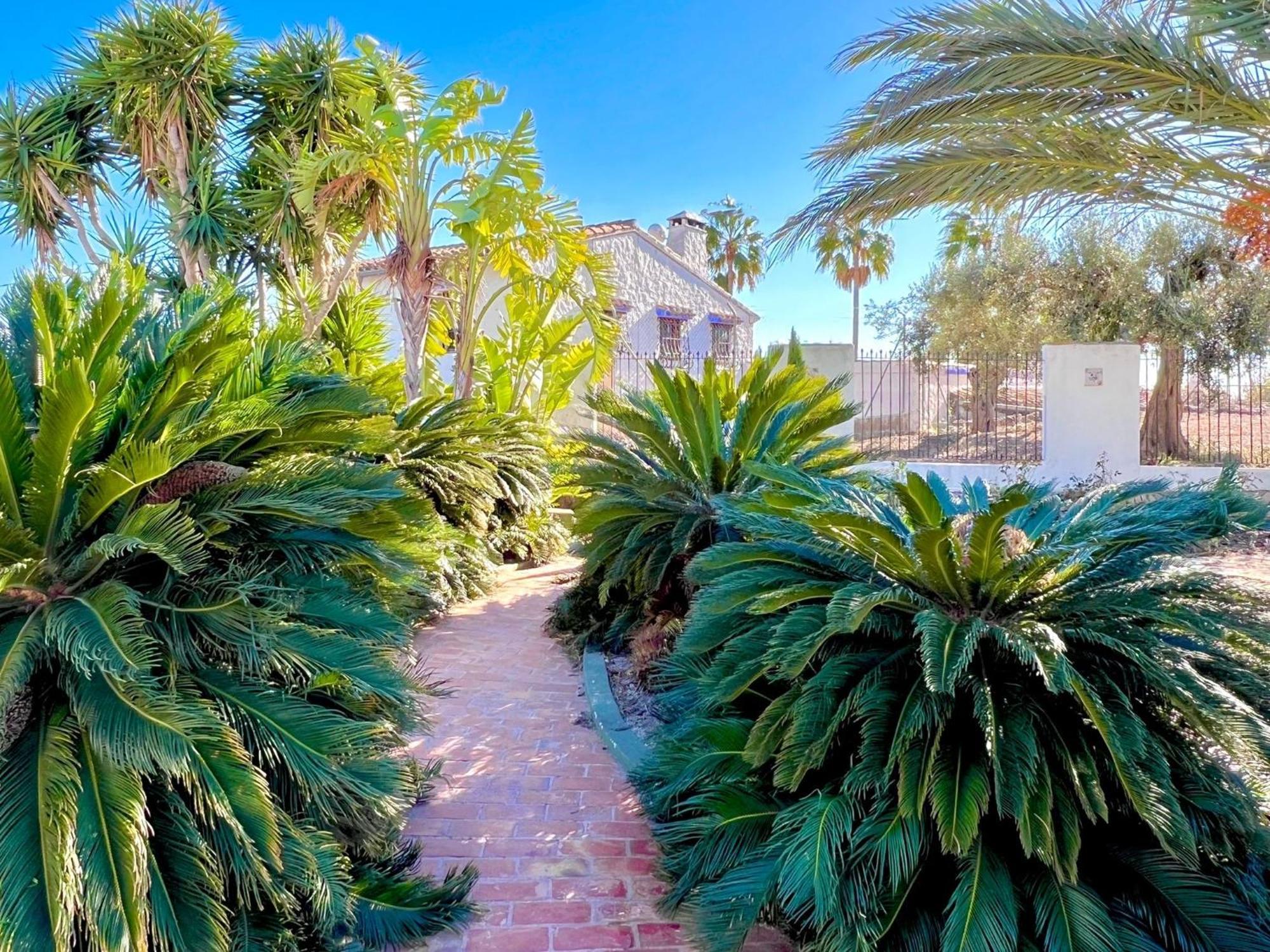 בניסה Finca Los Caballeros - Adults Only מראה חיצוני תמונה